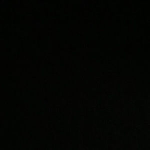 Meet your Posher, Brayden